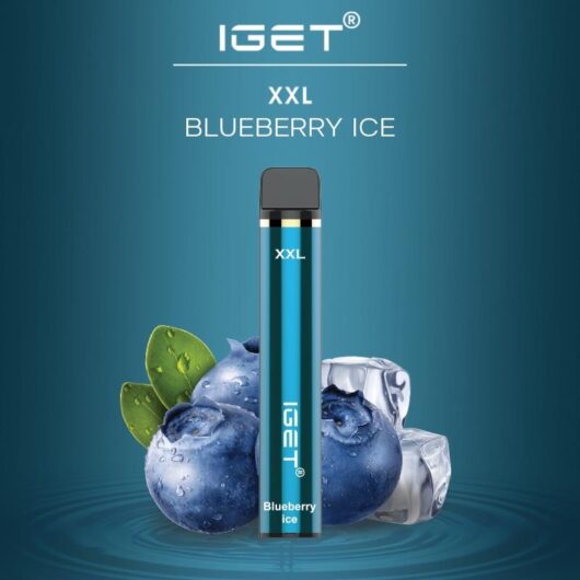 BLUEBERRY ICE - 1800 PUFFS