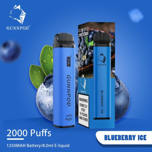 GUNNPOD - BLUEBERRY ICE - 2000 PUFFS