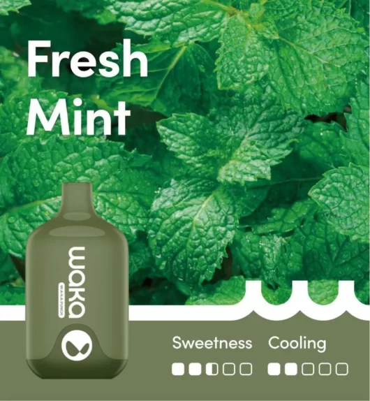 fresh-mint